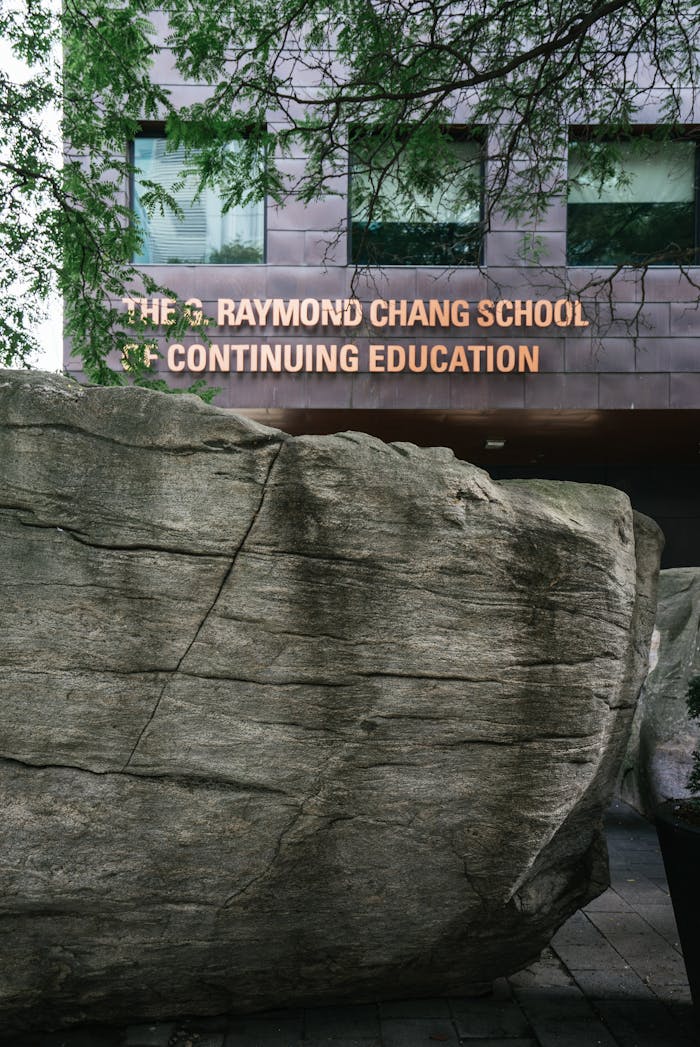 Facade of Raymond Chang School with large rocks and tree branches in daylight.